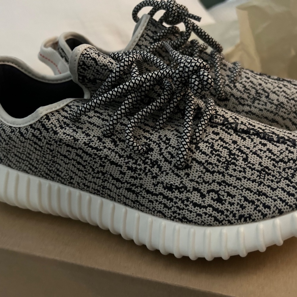 Yeezy Boost 350 Turtle - Picture 14 of 14